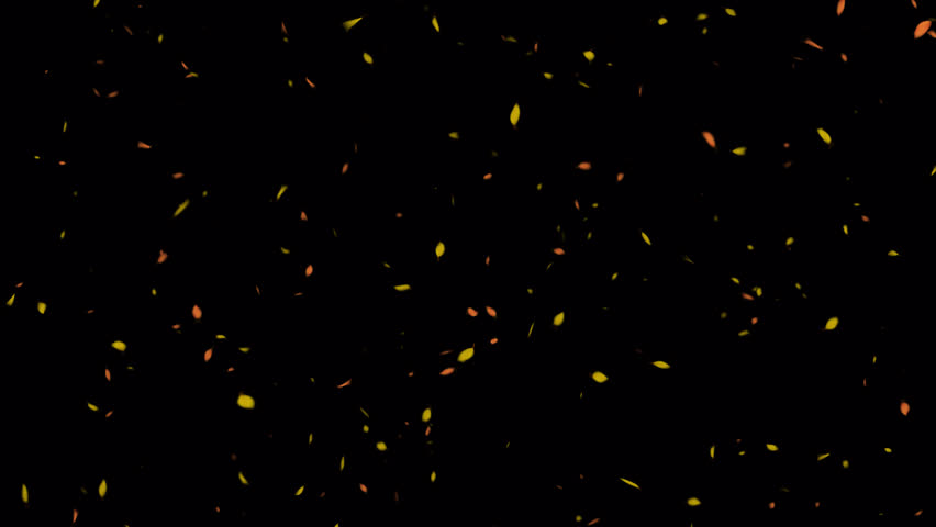 Autumn Leaves. Autumn Leaf Particles. With Alpha Channel Prores 4444. | Shutterstock HD Video #1111348513