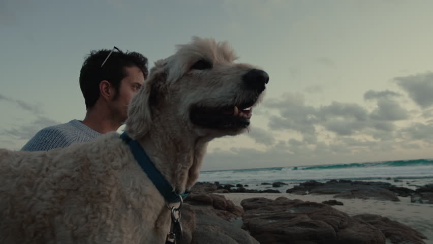 Close-up of a adult man and his faithful pet dog sit on a rock, admiring the ocean together during the tranquil sunset. Travel, wanderlust and friendship concept | Shutterstock HD Video #1111354111