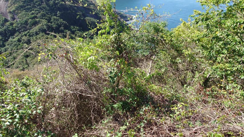 Panoramic view of Sugarloaf Mountain in Rio de Janeiro Brazil
