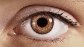 
Beautiful Brown Blinking Eye. Zoom in to an Infinite Black and Zoom out to Macro Close up. Eye Iris, Black Pupil Opening.
 - Powered by Shutterstock - Get 15% off with code: PIKWIZARD15