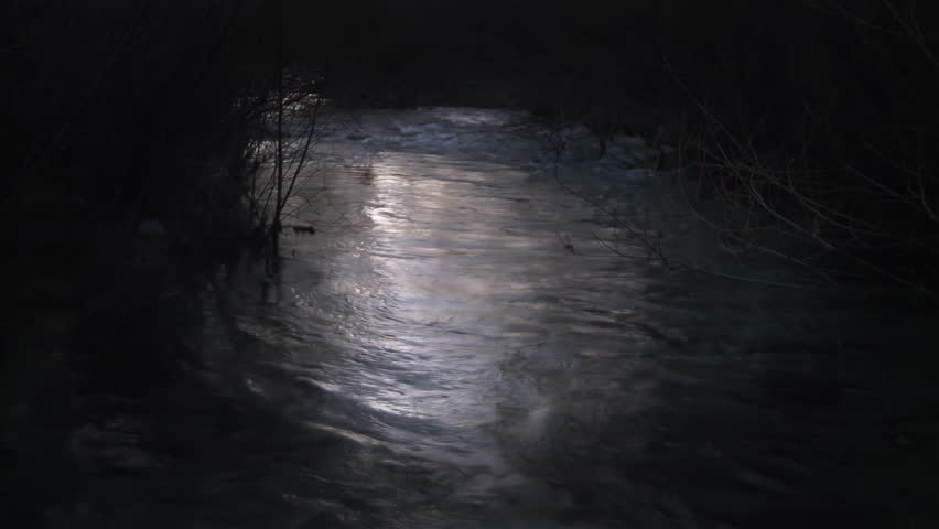 Ripples On The Surface Of Water Stream in the Forest in Patagonia at Night. 4K Resolution.