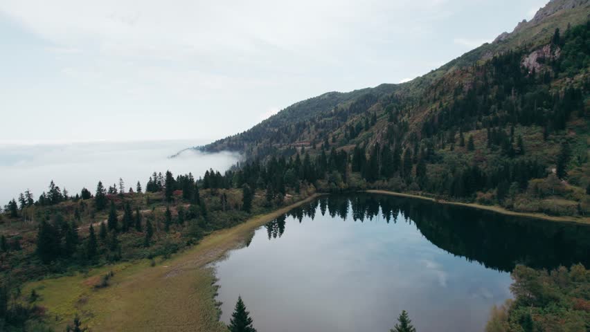 top view of a forest with a heart-shaped lake 5540321 Stock Photo at  Vecteezy