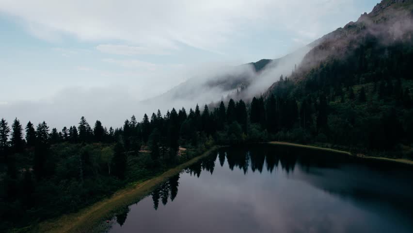 top view of a forest with a heart-shaped lake 5540321 Stock Photo at  Vecteezy