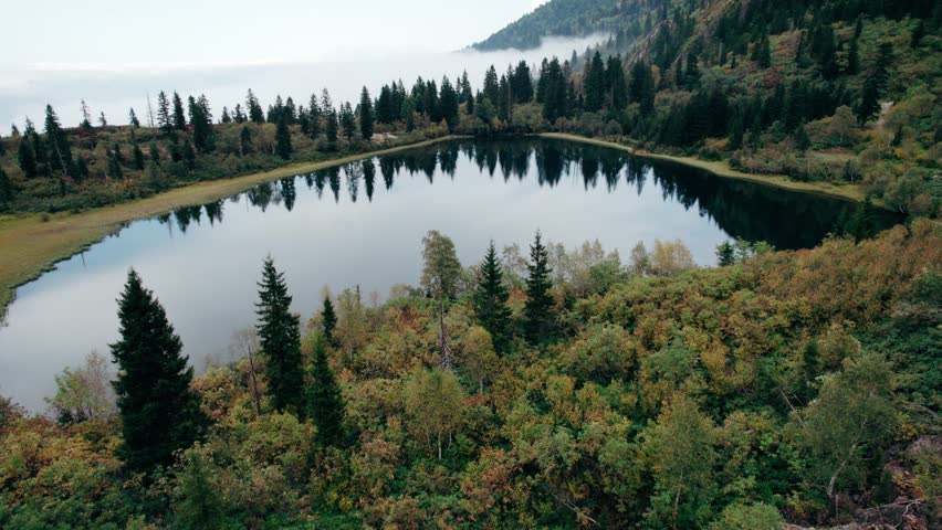 top view of a forest with a heart-shaped lake 5540321 Stock Photo at  Vecteezy