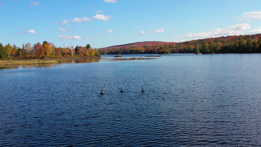 Aerial view of Fall (Autumn) foliage surrounding a lake in upstate New York.