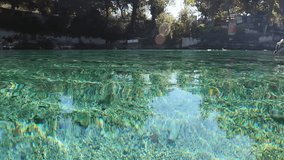 Clear underwater video, clean clear pond with pristine spring water