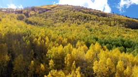 Above The Aspens Autumn Drone Video