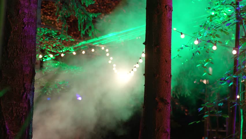 Laser beams and festive illumination in the forest | Shutterstock HD Video #1111446539