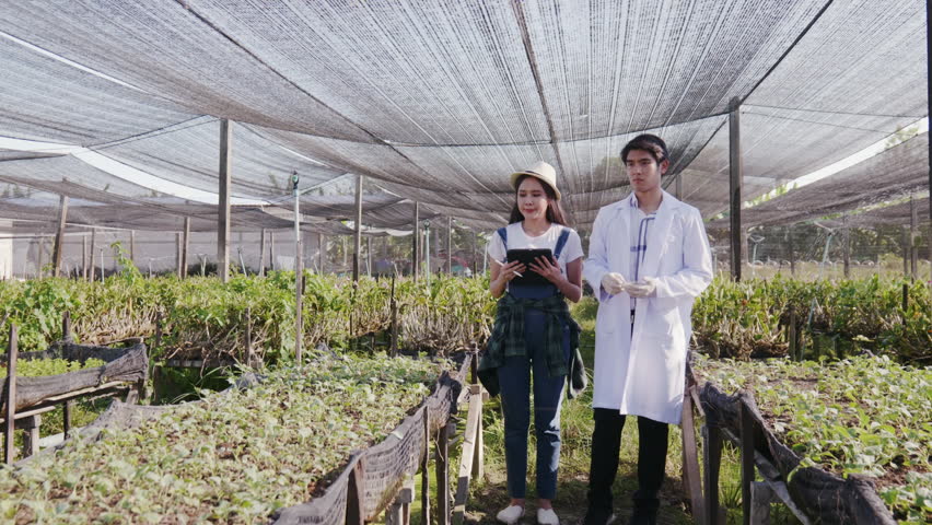 Female farmer and Agricultural Research Officer working on an organic Melon Farm