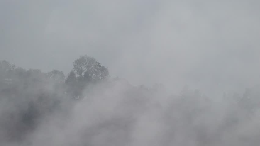 Rainclouds in a forest during autumn | Shutterstock HD Video #1111448409