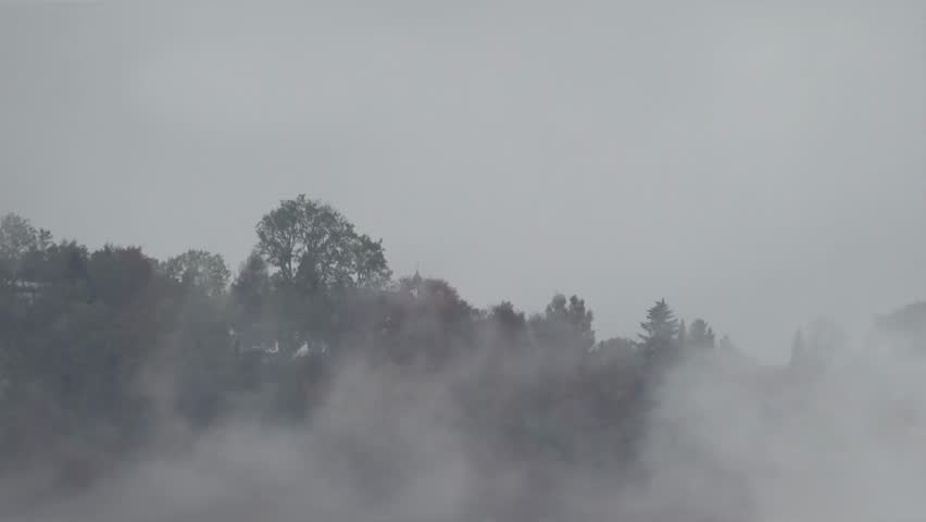 Rainclouds in a forest during autumn | Shutterstock HD Video #1111448421
