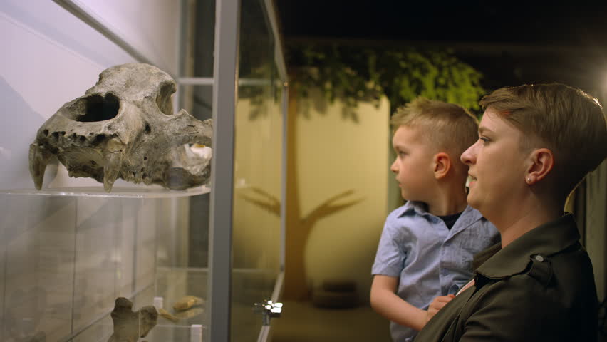Mother and her little son enjoying watching an exhibition in a natural history museum, side close up shot. Children and family time in museums concept.