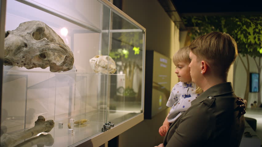 Little girl in her mother’s arms looking at the glass display case with animal skeletons in the natural history museum, close up side view.