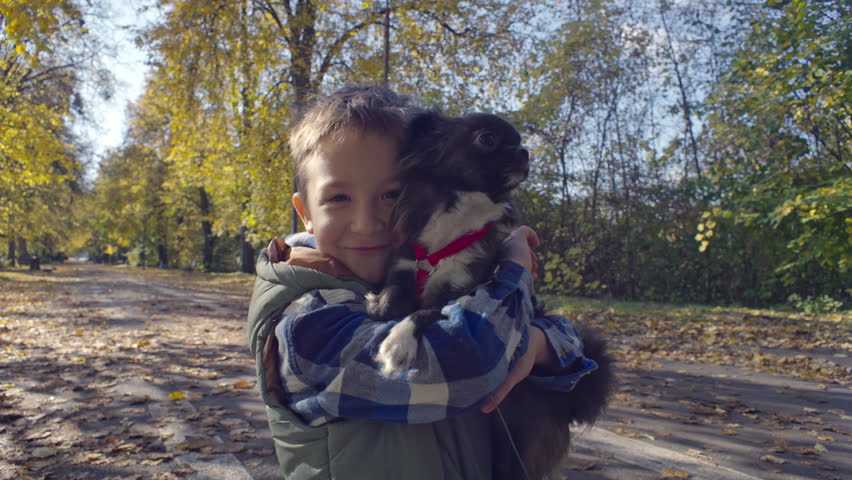 Portrait of a boy hugging a dog on a walk in the autumn park. Love for pets, taking care of them and walking in the park with yellow leaves on the trees. High quality 4k footage