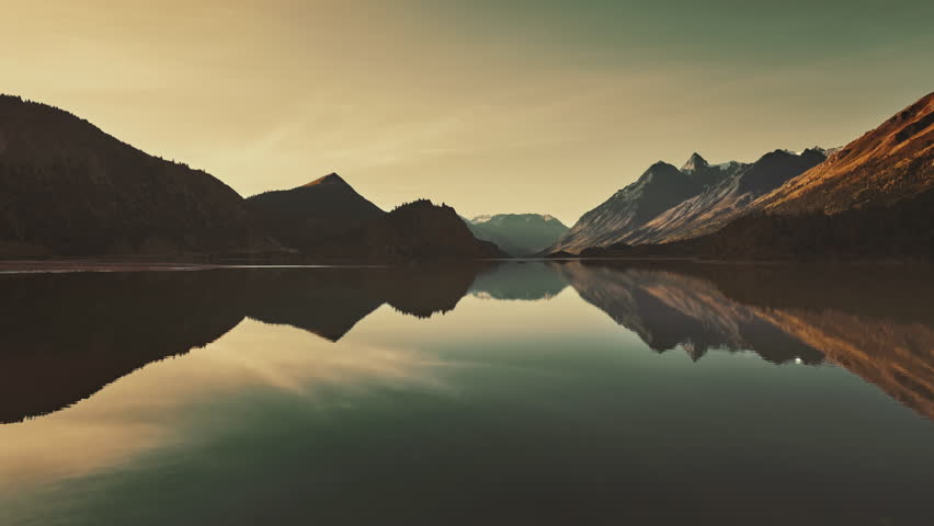 Aerial shot of bird flying above the lake