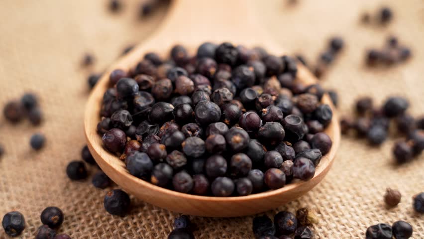 Wooden spoon with falling dehydrated dried juniper berries on a rough burlap. Rotation. Slow motion
