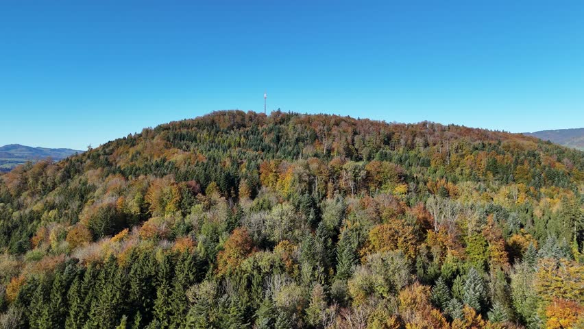 Aerial view over the multicolour spruce and fir forest in autumn season in Switzerland