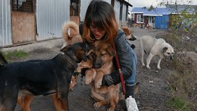 Dogs in animal shelter. Animal shelter volunteer takes care of dogs. Lonley dogs in cage with cheerful woman volunteer - Powered by Shutterstock - Get 15% off with code: PIKWIZARD15