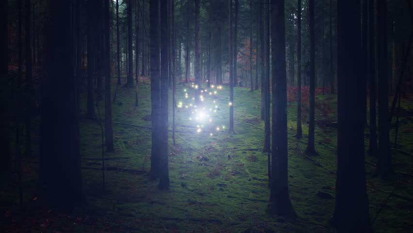  Fantasy dark dimmed forest with flickering light energy and glowing moving fireflies. Royalty-Free Stock Footage #1111477813