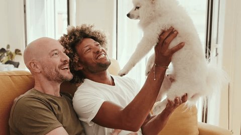A heartwarming scene of a diverse gay couple sharing love, laughter, and playfulness with their adorable pet dog in a sunlit apartment. Celebrate diversity and happiness Adlı Stok Video