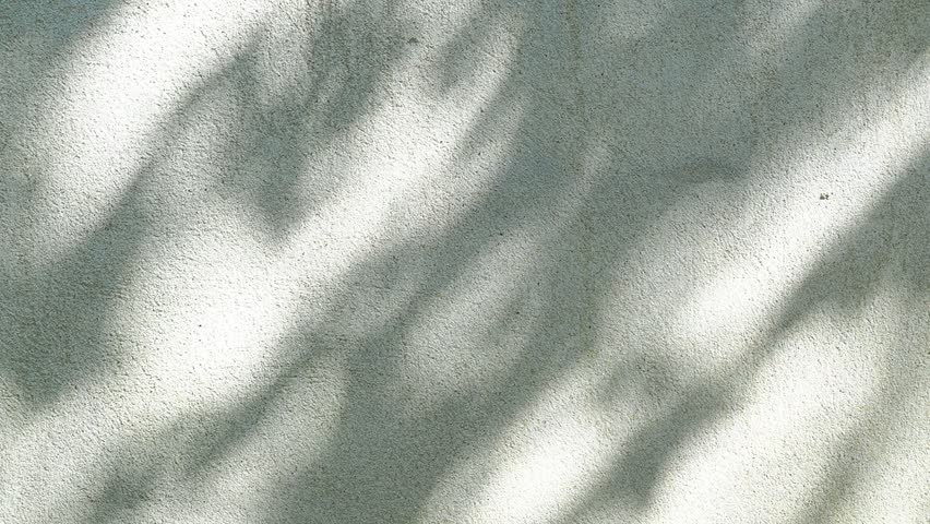 Leaves  shadow on the wall , Chiangmai province Thailand.