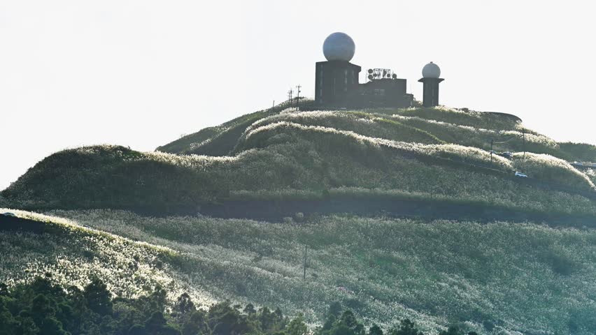 On a clear winter afternoon, the mountains are covered with white reed flowers. Wufenshan Weather Radar Station, Ruifang, Taiwan.