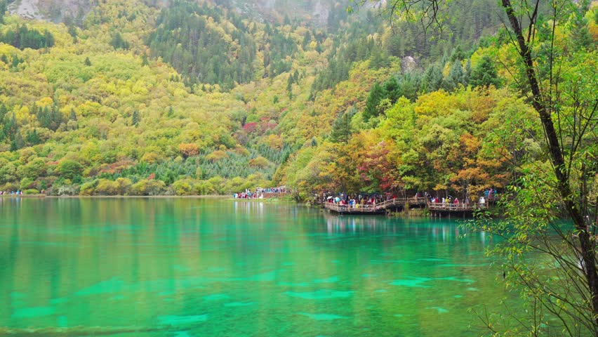 Beautiful autumn scenic view at five flower lake in jiuzhaigou national park
