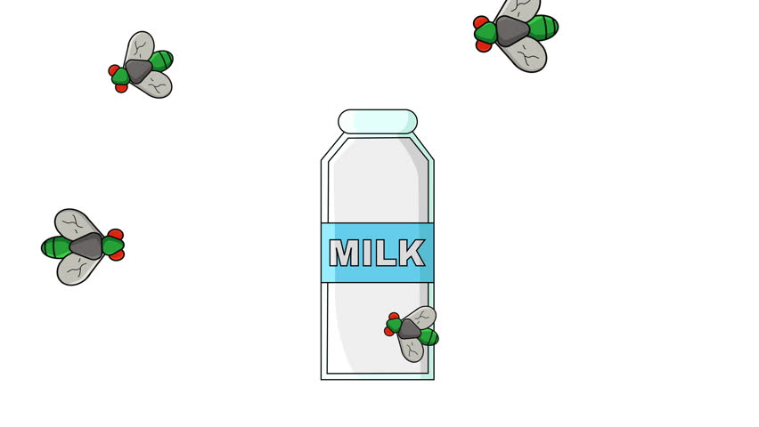 Animation of a milk bottle being visited by flies