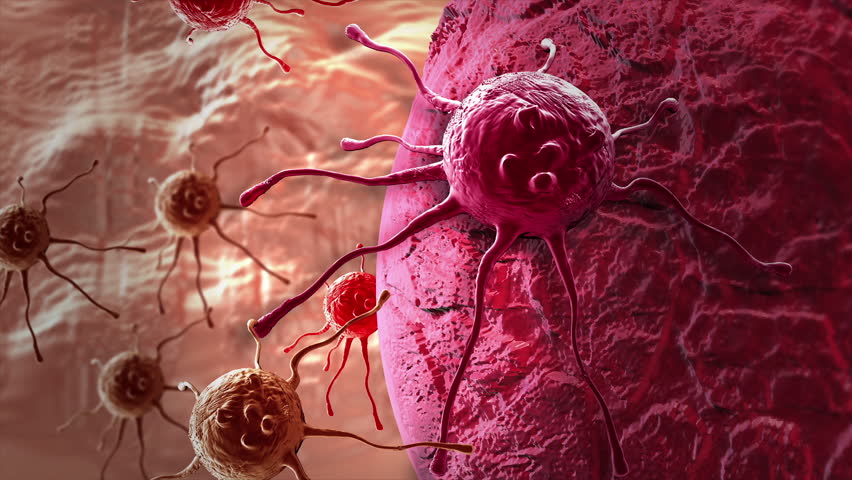 Animation of a damaged and disintegrating cancer cell | Shutterstock HD Video #1111495671