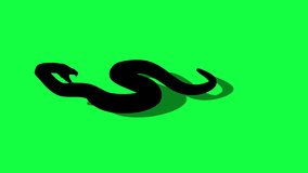 Animated silhouette Python Snake With Green Screen Background