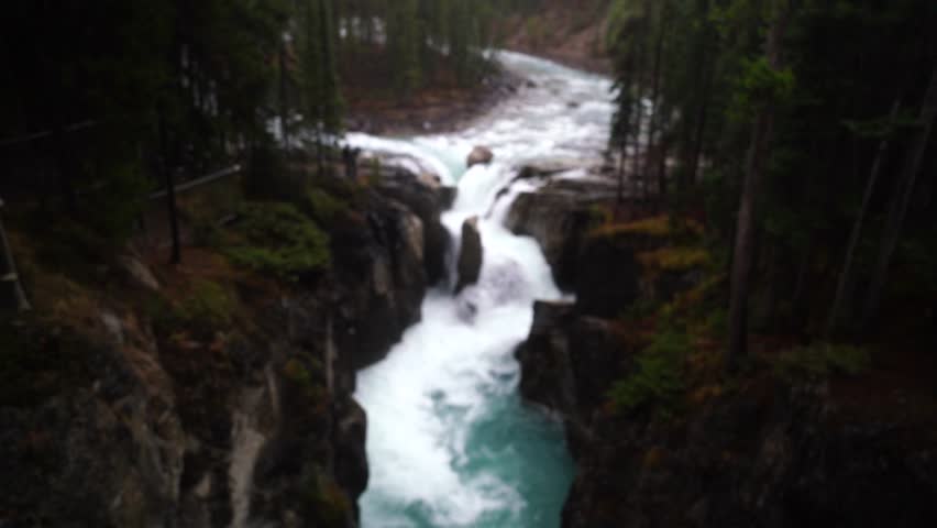 Upper Sunwapta Falls is a pine island in the middle of a waterfall in Jasper National Park, Canada. The water originates from the Athabasca glacier.