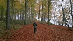 A man walks through the autumn forest alone. yellow-red trees. Real autumn. Video in 4K