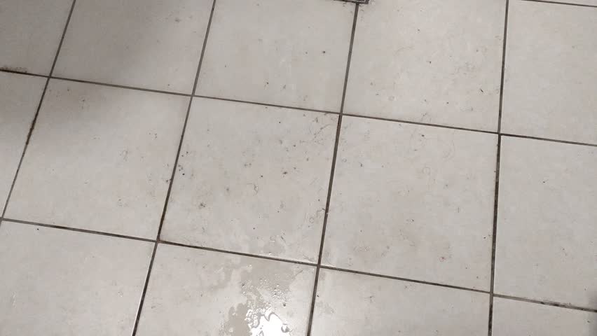 Dirty tile floor in the bathroom of cheap hostel or student dormitory. There are pieces of dirt and hair in the water on the floor Royalty-Free Stock Footage #1111522805