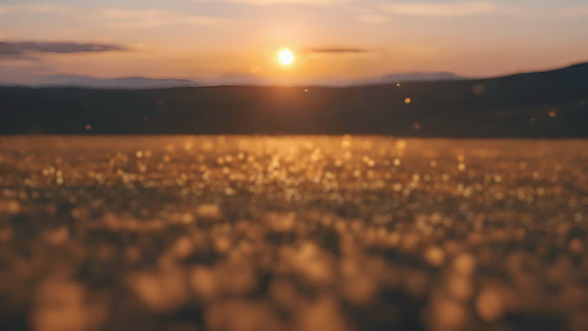 Digital animation field landscape at golden sunset light. Majestic sunshine background for copy space. Horizon dramatic light. Background of gorgeous sunrise dawn. Hot sunset hour. Morning sky view | Shutterstock HD Video #1111524239
