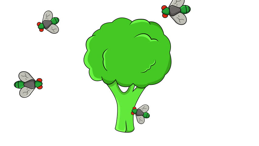 Animation of broccoli being attacked by flies, with a white background