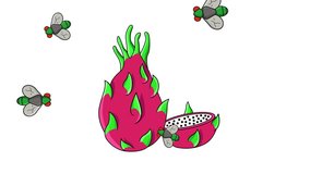 Animation of dragon fruit being attacked by flies, with a white background - Powered by Shutterstock - Get 15% off with code: PIKWIZARD15