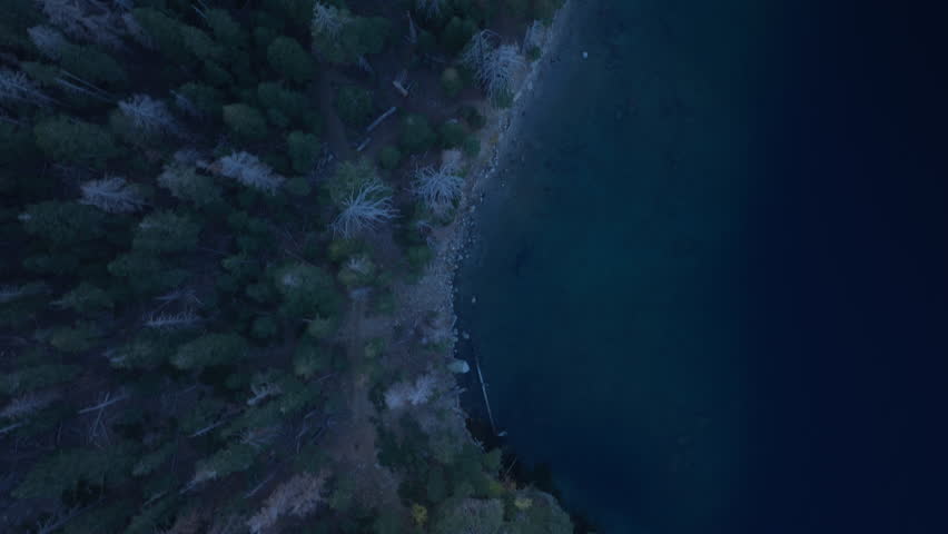 Tahoe mountain lake water at night. Aerial top down clear turquoise water of mountain lake with pine tree forest. View of blue lake and green forest 4K. Overhead lake shore with spruce forest at night
