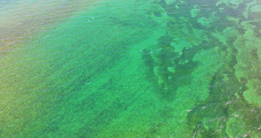Aerial view of underwater coral reef visible through ocean surface near Miami, Florida
