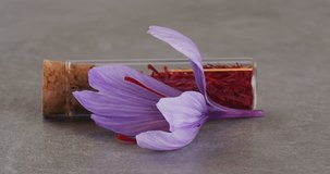 Glass jar with dry saffron and a crocus flower on gray background. Close-up footage on the rotating table.