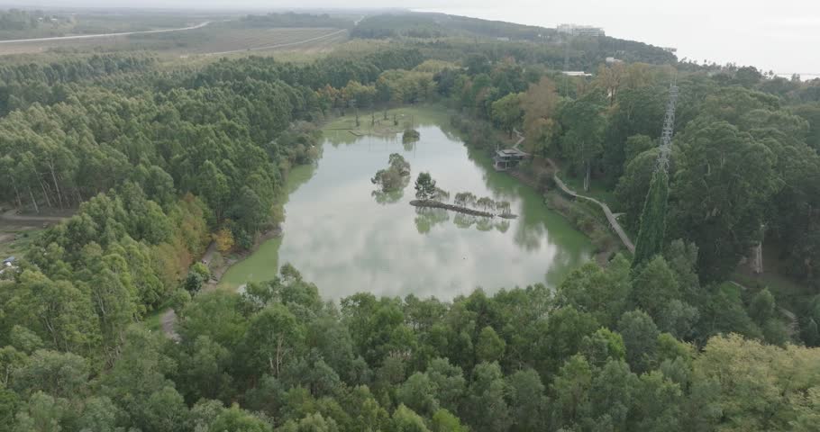 Aerial view of Dendrological Park in Shekvetili village, Georgia