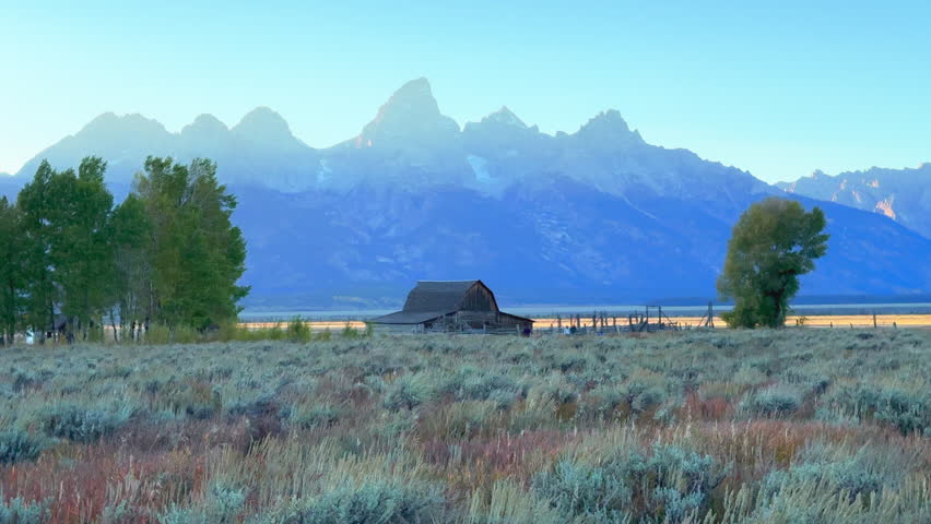 Grand Teton National Park Mormon Row Moulton Barns wind tall grass fall Aspen golden yellow trees Jackson Hole Wyoming mid day beautiful blue sky late afternoon sunset cinematic still tripod