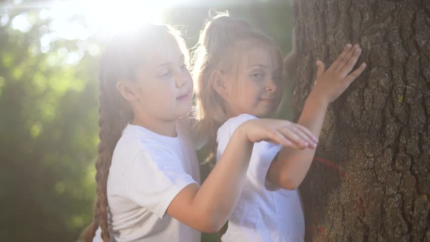 Children hugging a tree in forest. happy family childhood dream concept. children spend time together outdoors and lifestyle hug the trunk of a tree. environmental protection love for nature | Shutterstock HD Video #1111547421