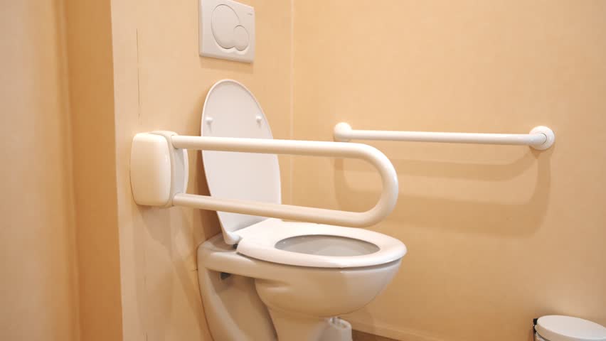 Modern handicapped bathroom for the elderly and disabled, with grab bars and wheelchair access