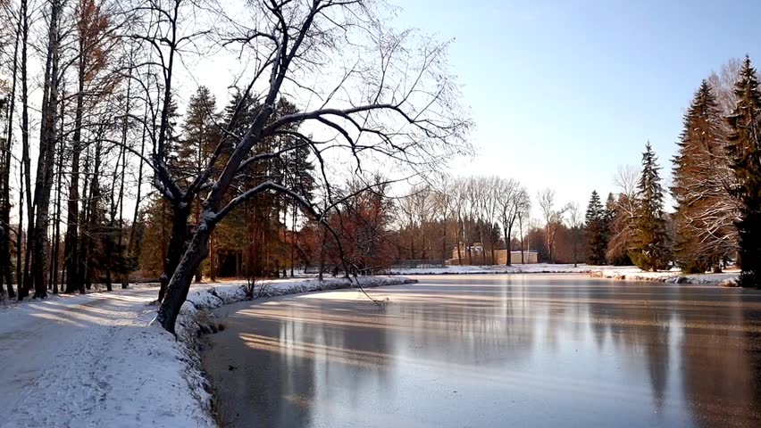 Frozen river in the park in late autumn