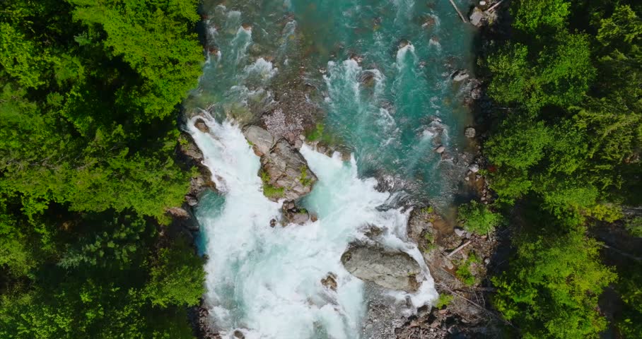 Shutterstock Video