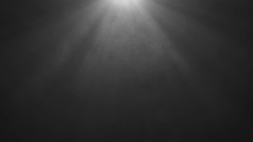Dust particles floating in black background with top light rays and beam lights. Sparkling particles Randomly spin in the air. Smoky and foggy looping animation. 4k Royalty-Free Stock Footage #1111568303