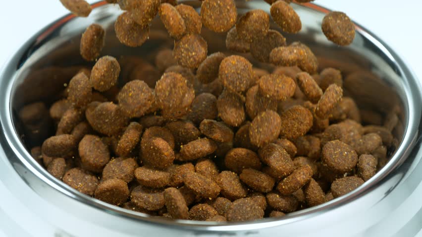 Super Slow Motion Detail Shot of Dog Food Falling into Bowl at 1000fps. | Shutterstock HD Video #1111575387