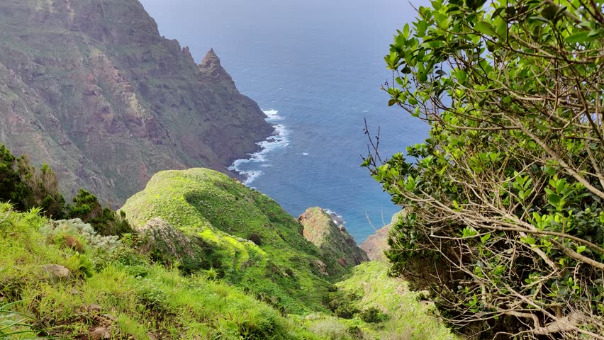 Lush Green Cliffs Overlooking the Deep Blue Sea with Vibrant Vegetation in the Foreground on a Sunny Day