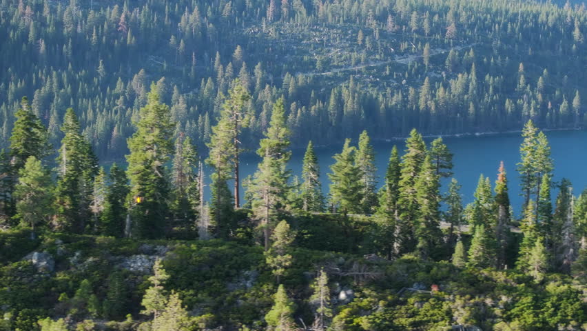 Road trip concept. Mountain forest lake Tahoe landscape car driving by forest hill. Aerial view cars driving through pine forest along lake shore in golden sunshine. Driving by beautiful mountain road