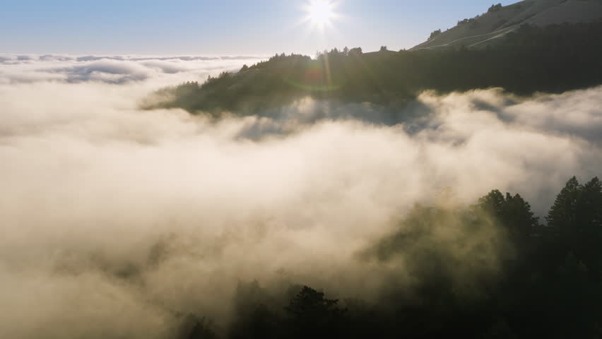 Drone flying over clouds in sunrise light, San Francisco Bay area, California, West coast, USA. Birds eye view of forest trees growing on he mountain hills. Sun shining over the tree tops, 4k footage